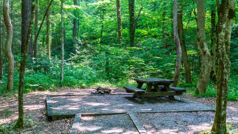 Peavine Sheed Creek Road Trail Review Photo