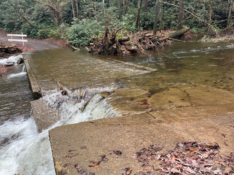 Peavine Sheed Creek Road Trail Review Photo