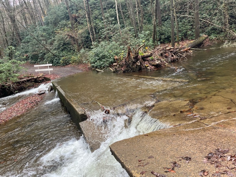 Peavine Sheed Creek Road Trail Review Photo