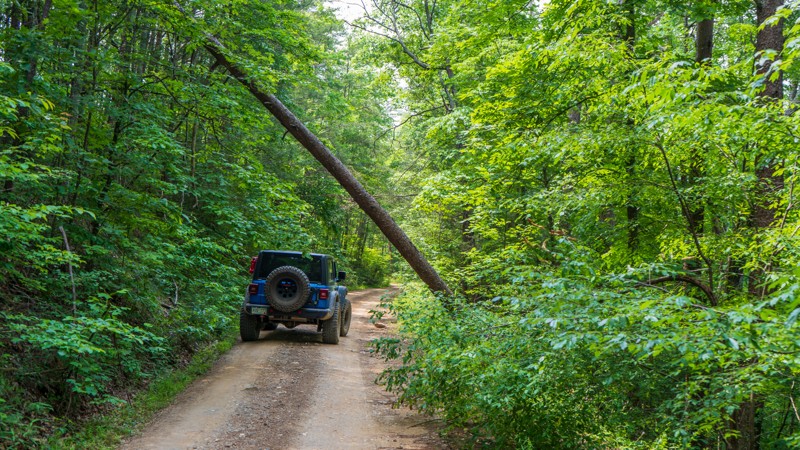 Big Frog Trail Review Photo