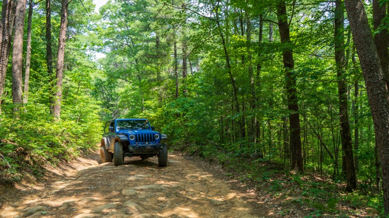 Big Frog Trail Review Photo
