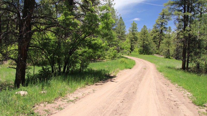 New Mexico: FR 162 Hero Photo