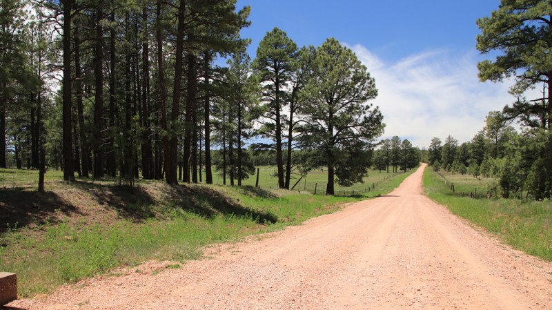 New Mexico: Stinking Springs Hero Photo
