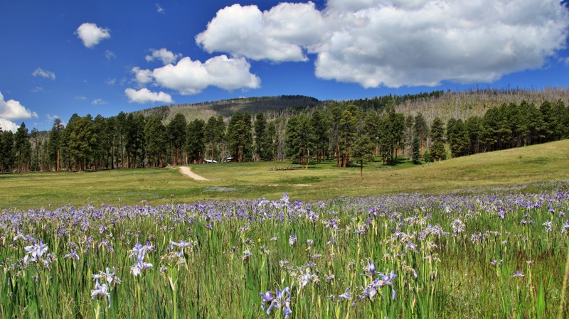 Valles Caldera National Preserve Backcountry Trail Review Photo