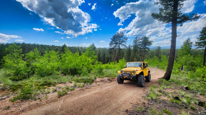 Colorado: Rib Cage Road Hero Photo