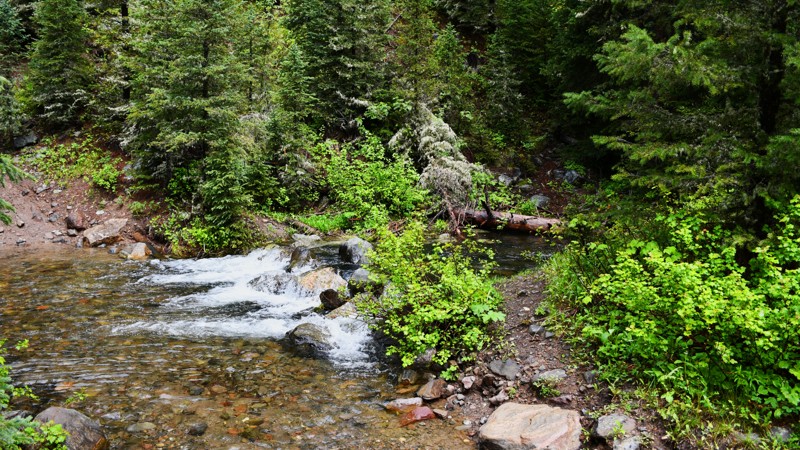 Little Bear B Road Trail Review Photo