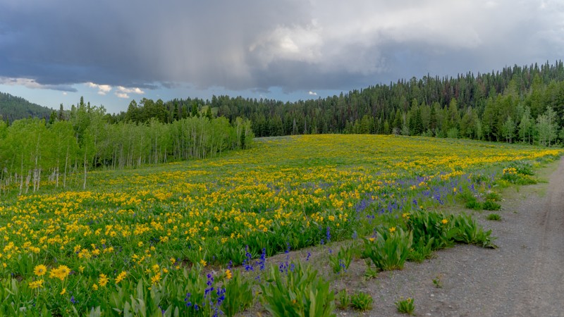 Smith Fork Road Trail Review Photo