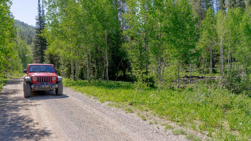Idaho: Diamond Creek Road Hero Photo