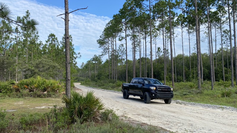 State Forest Road 22 Trail Review Photo