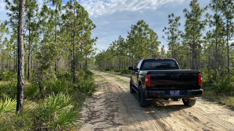 State Forest Road 22 Trail Review Photo