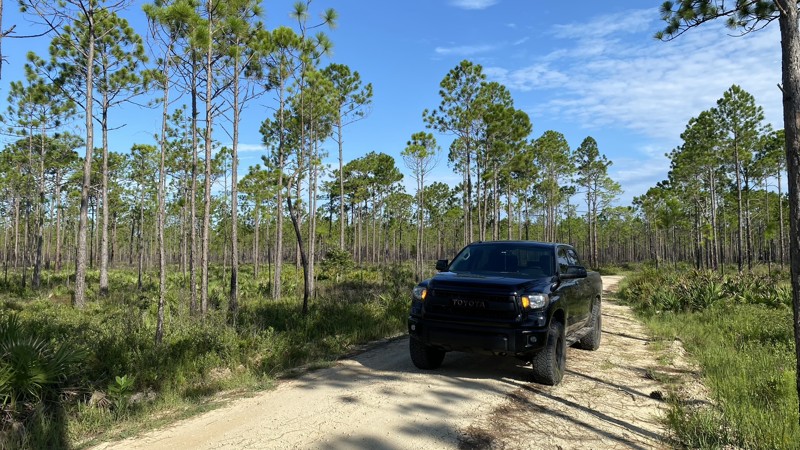 State Forest Road 7 Trail Review Photo
