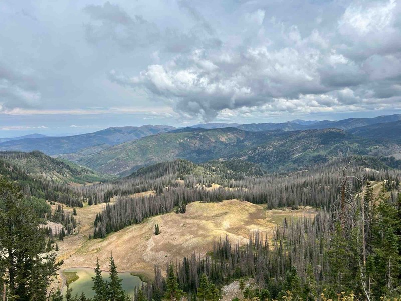 Wide Hollow Trail Review Photo