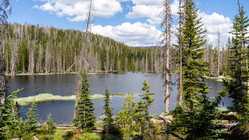 Utah: Castle Lake (East) Hero Photo