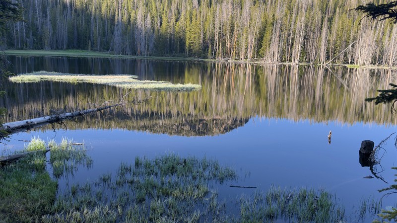 Castle Lake (East) Trail Review Photo
