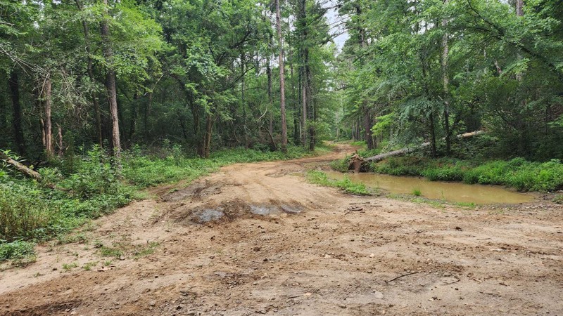Cove Creek Crossing Trail Review Photo