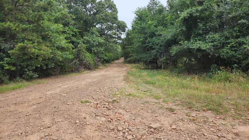 Cove Creek Crossing Trail Review Photo