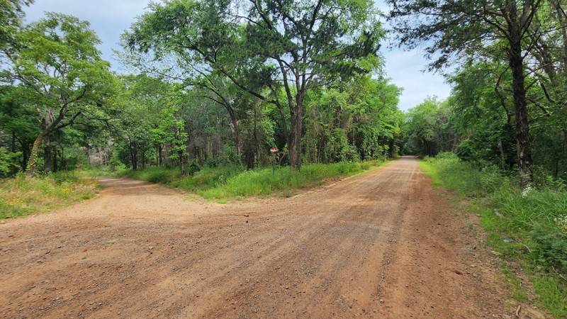 Old Cove City Road Trail Review Photo