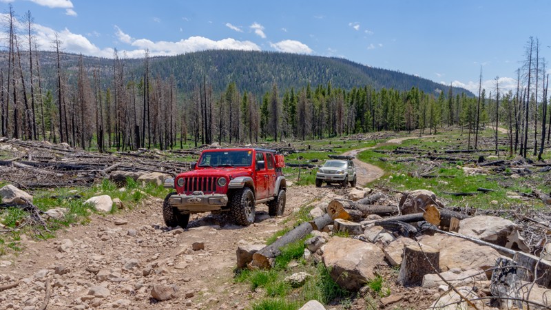 Utah: Broadhead Meadows Hero Photo