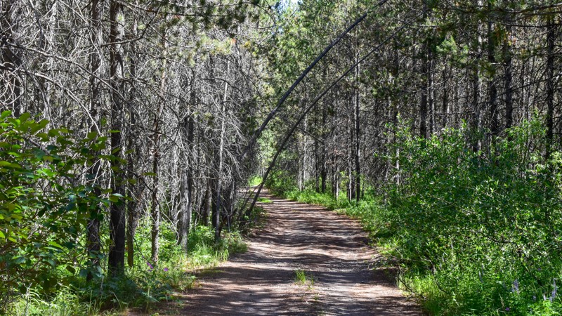Idaho: Wyoming Creek Hero Photo