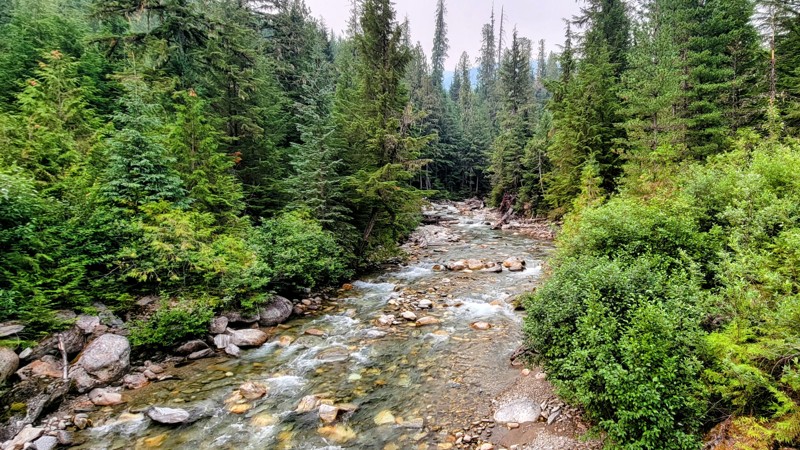 Seymour River Road Trail Review Photo