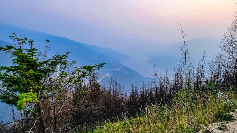 Gorge Forest Road Trail Review Photo
