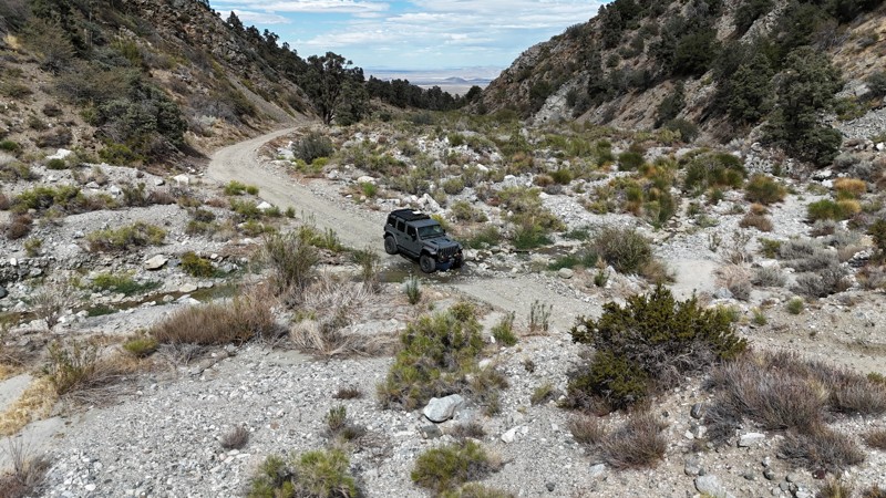 Mescal Creek Road Trail Review Photo