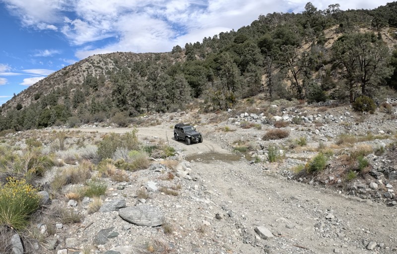 Mescal Creek Road Trail Review Photo