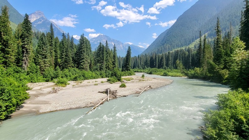 British Columbia: Downie Creek Road Hero Photo