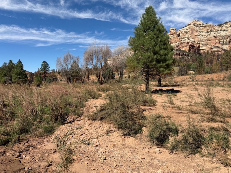 Peavine Corridor Trail Review Photo