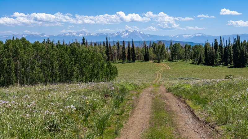 Colorado: Deadhorse Hero Photo