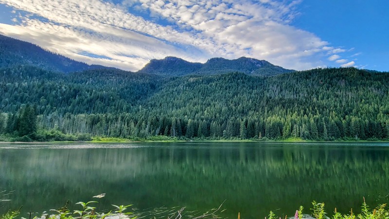 Mabel Lake Road Trail Review Photo
