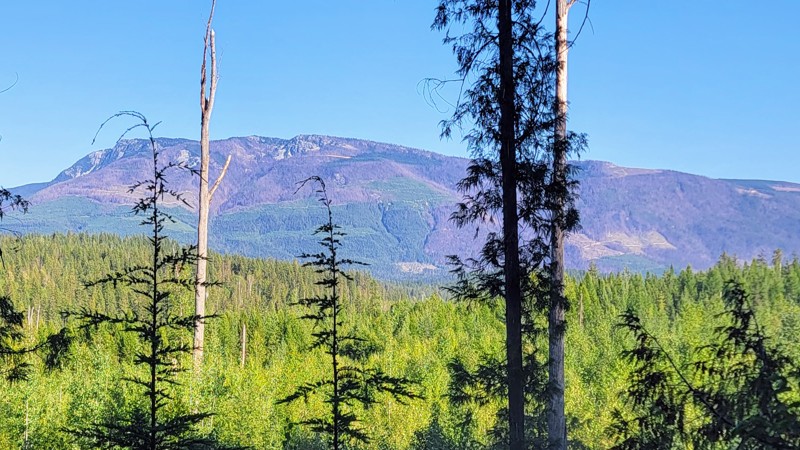 Three Valley Mable Road Trail Review Photo