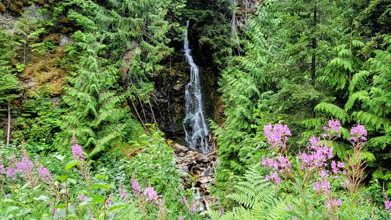 Frisby Creek Road Trail Review Photo