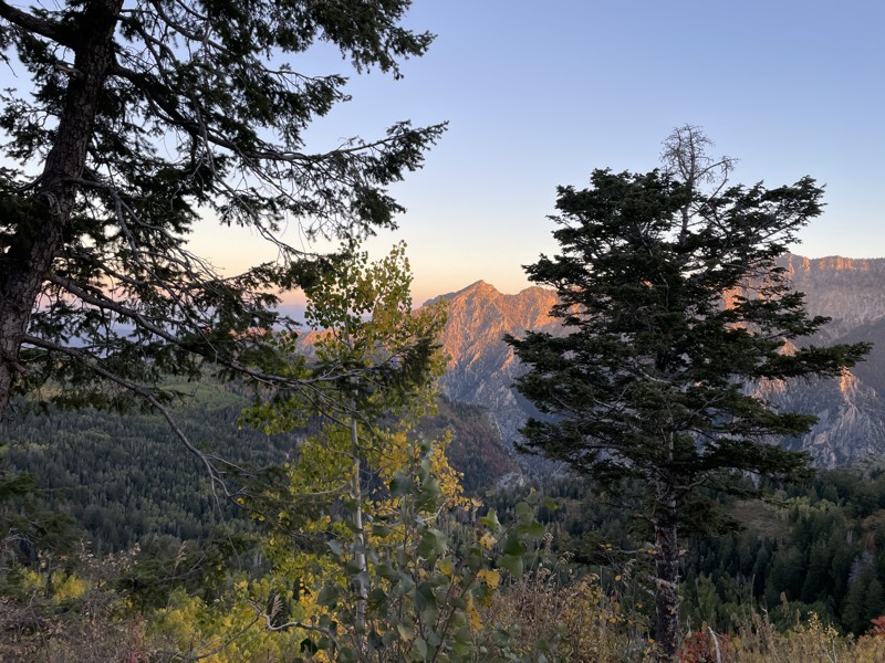 Timpooneke Road Trail Review Photo