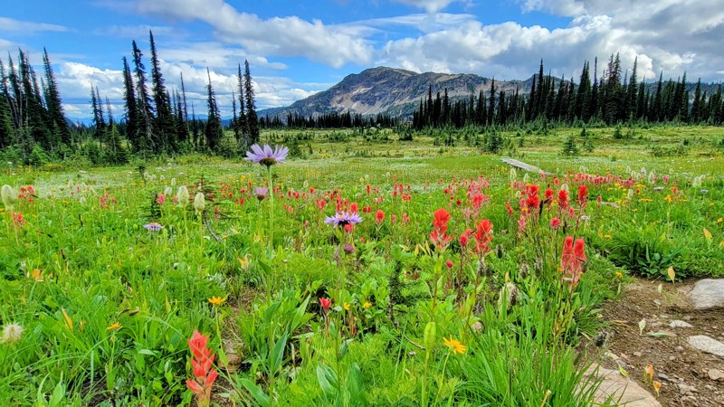 Sol Mountain Road Trail Review Photo