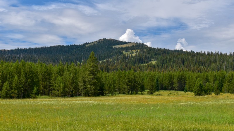 Idaho: Two Top-Canyon Creek Hero Photo