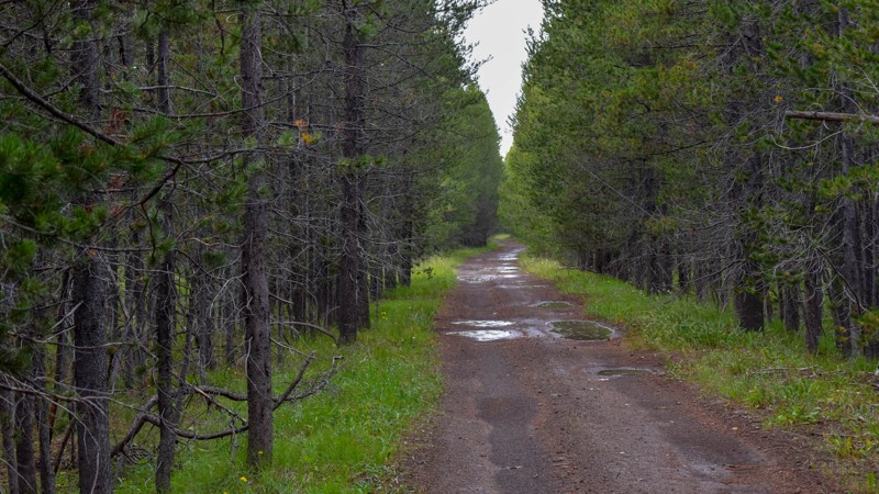 Idaho: Kooch Ranch Hero Photo