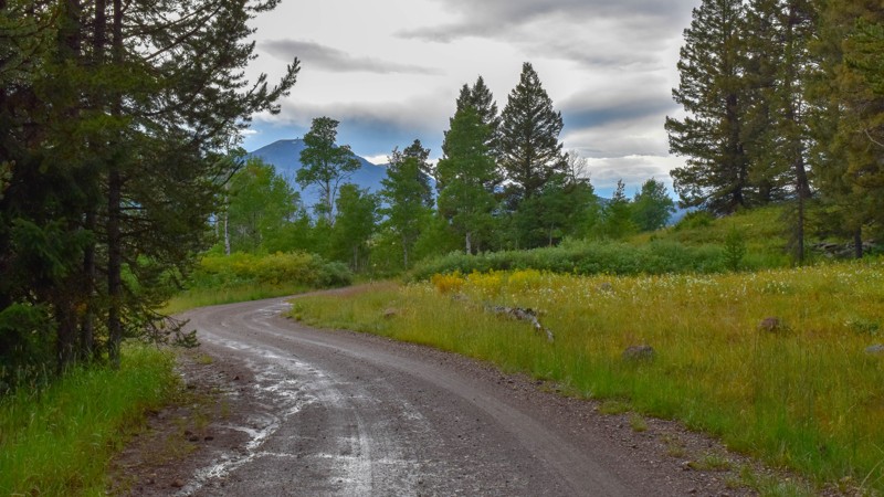Idaho: Meadow Creek Road Hero Photo
