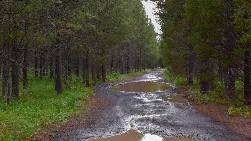 Idaho: Meadow Creek Cutoff Hero Photo
