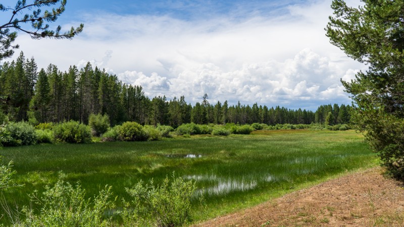 Idaho: Graveyard Flats Hero Photo