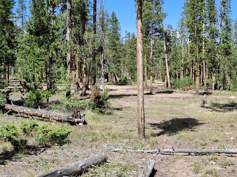 Laramie River Valley Road Trail Review Photo