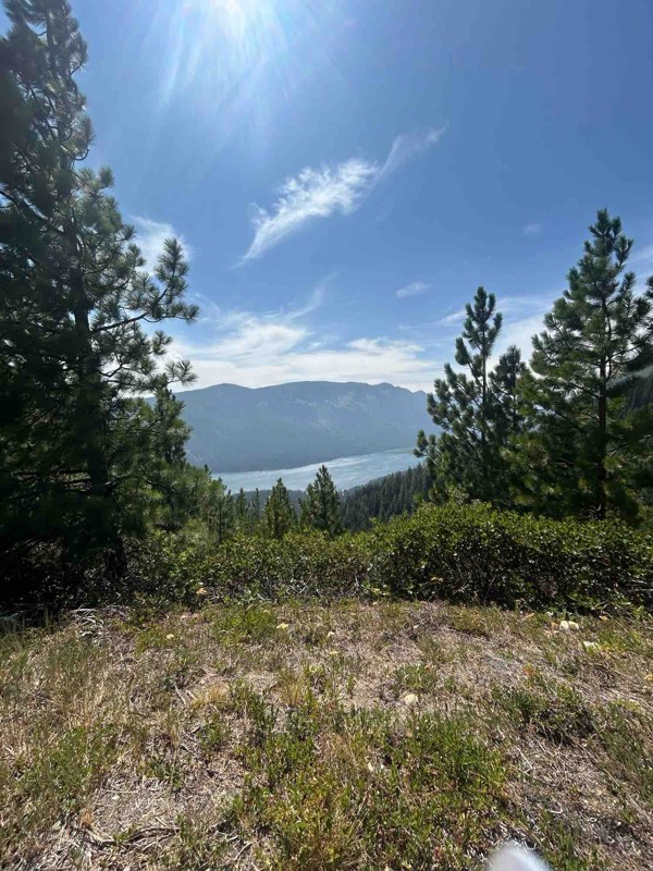 Pole Ridge Road Trail Review Photo