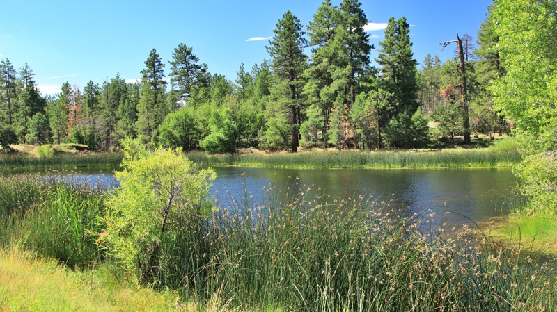 Arizona: JD Dam Hero Photo