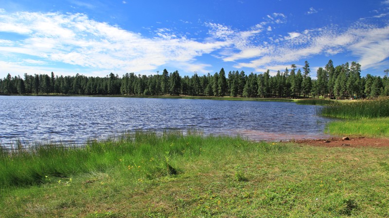 Arizona: White Horse Lake Hero Photo
