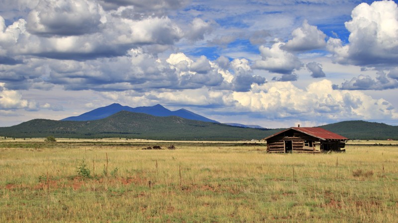 Arizona: Garland Prairie Hero Photo