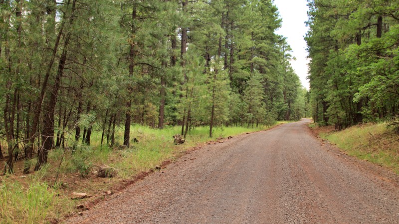 Arizona: Bill Williams Loop Hero Photo