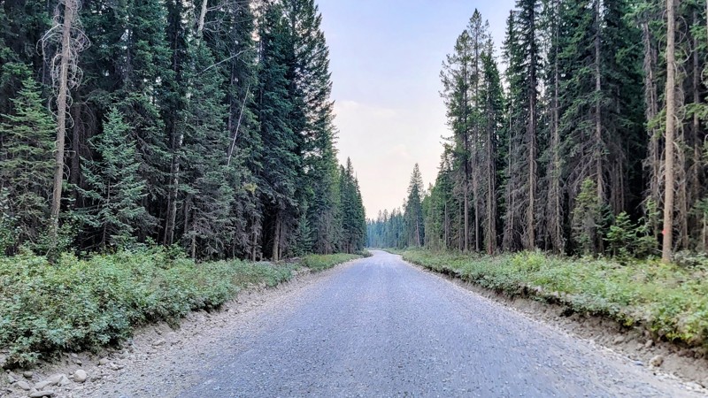 Settlers Road Trail Review Photo
