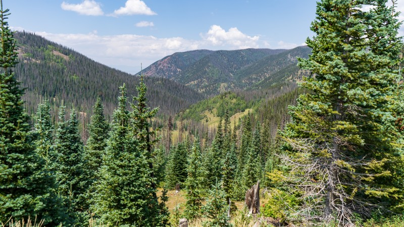 Colorado: Lime Creek U Hero Photo