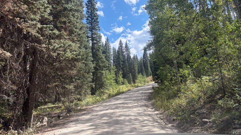 Lost Lake Road Trail Review Photo
