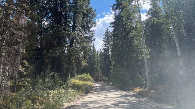 Lost Lake Road Trail Review Photo